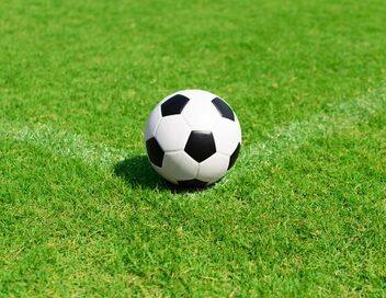 Football : Coupe du monde des clubs de la FIFA