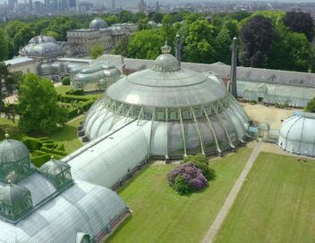 Des racines et des ailes