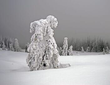 Un hiver dans les Alpes