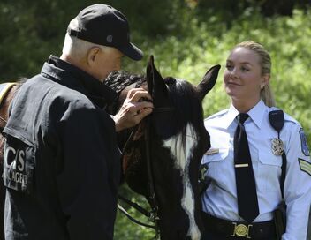 NCIS