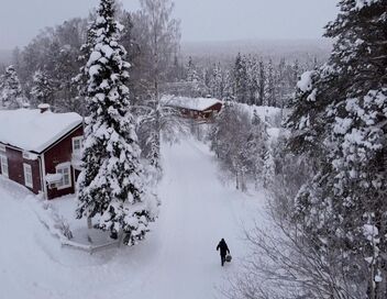 Des trains pas comme les autres