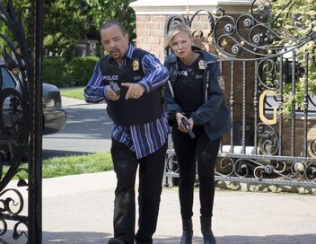 New York Unité Spéciale