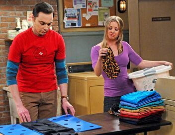 The Big Bang Theory