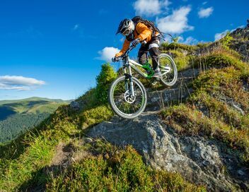 VTT : Coupe du monde de descente