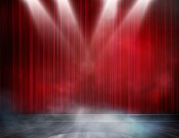 Donovan magicien bluffe les stars