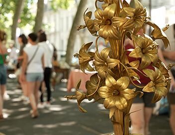 Reportages découverte