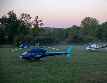 La carte aux trésors