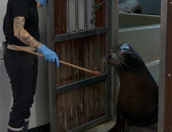 Nausicaá, dans les coulisses du plus grand aquarium d'Europe
