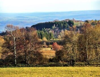 L'Allemagne sauvage