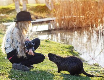 Le grand bêtisier des animaux