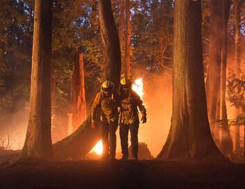 Fire Country