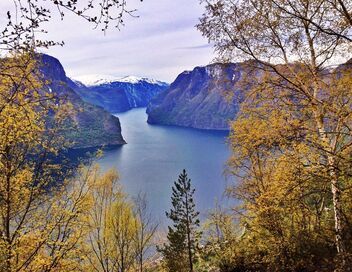 Merveilles nordiques