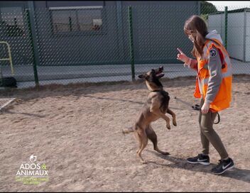 Ados et animaux : une école pas comme les autres