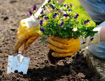 Les potagers de Julie