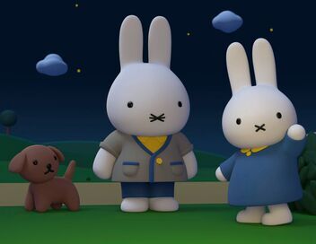 Miffy et ses amis