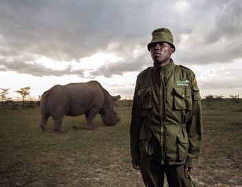Le dernier rhinocéros blanc