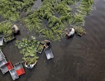 Europe sauvage, la part de l'homme