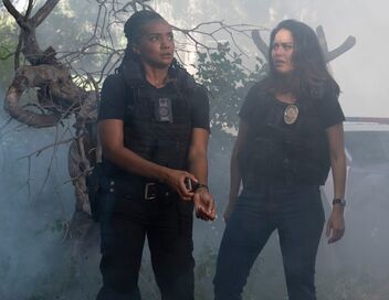 The Rookie : Le flic de Los Angeles