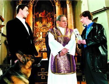 Rex, chien flic