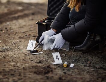 Chroniques criminelles