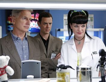 NCIS