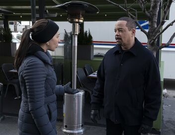 New York Unité Spéciale