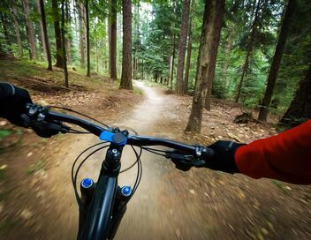 VTT : Coupe du monde de descente