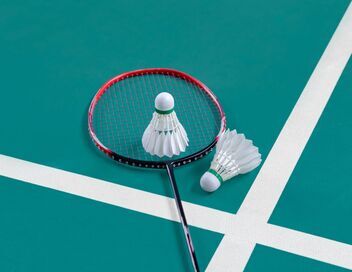 Badminton : Internationaux de France