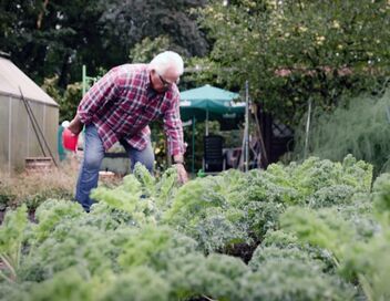 Une histoire des jardins ouvriers