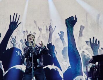 Hallyday par David
