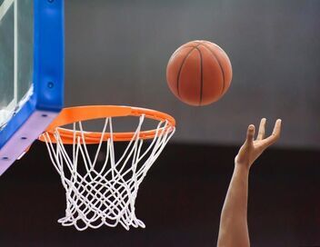Basket-ball : Match amical international