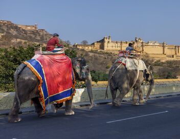 Pékin express : L'épopée des maharadjas