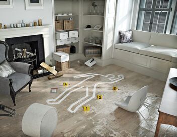 Au coeur de l'enquête