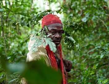 Gardiens de la forêt