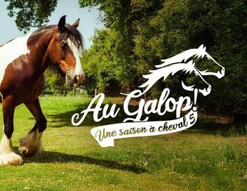 Au galop ! Une saison à cheval