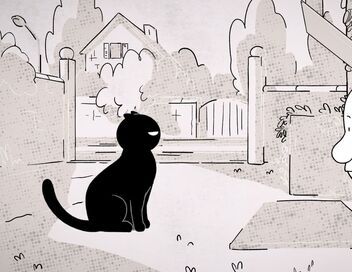 Putain de chat !