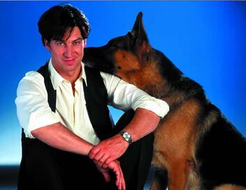 Rex, chien flic