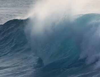 Tsunami de 2004 : au coeur de la catastrophe du siècle