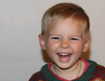Qui a tué le petit Emile ?