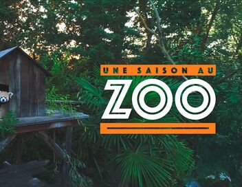 Une saison au zoo