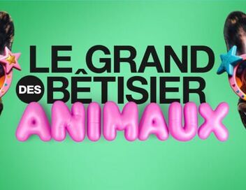 Le grand bêtisier des animaux