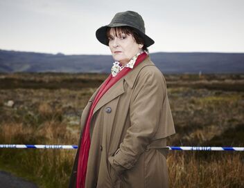 Les enquêtes de Vera