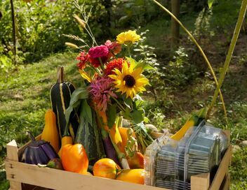 Cuisines des terroirs