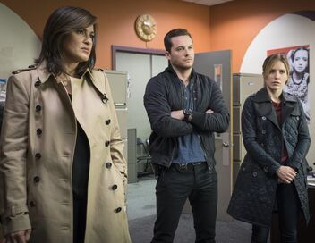 New York Unité Spéciale