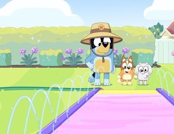Bluey