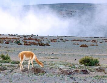 L'Equateur, au sommet de la biodiversité