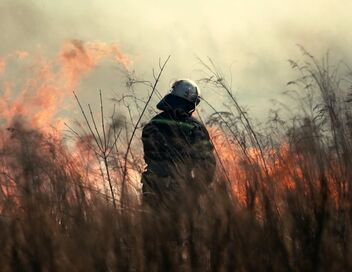 Cataclysmes, les grands régulateurs