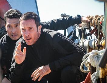 Hawaii 5-0