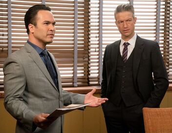 New York Unité Spéciale