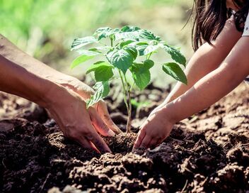 Les potagers de Julie